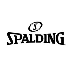 Imagen para la categoría Spalding