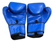 Imagen de Guantes De Boxeo Top Fight - Azul - 10oz