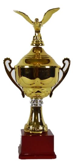 Imagen de Copa Trofeo Premiacion 42 Cm Deportes  Amarillo