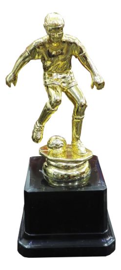 Imagen de Copa Trofeo Premiacion Deportes Futbol 16 Cm Dorado