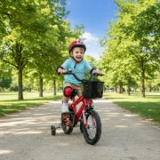 Imagen de Bicicleta De Niño Rodado 12 Con Rueditas Canasto Guardabarro