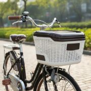 Imagen de Bicicleta Joven Paseo R24 C/parrilla Y Canasto Marrón Green Marrón 24 "