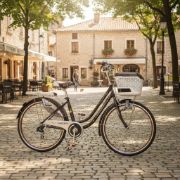 Imagen de Bicicleta Joven Paseo R24 C/parrilla Y Canasto Marrón Green Marrón 24 "
