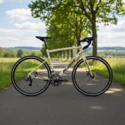 Imagen de Bicicleta R28 Gravel Ksw Exelente Calidad Premium Beige 28 "