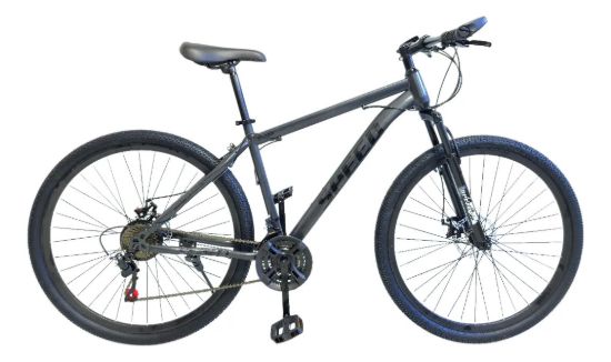 Imagen de Bicicleta Montaña Rodado 29 Freno De Disco 21 Vel - Gris - M
