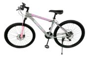 Imagen de Bicicleta Mtb Rodado 24 Freno Disco Mountain Bike - Gris - M