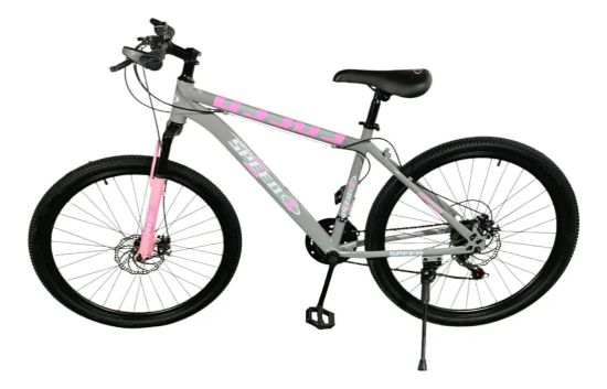 Imagen de Bicicleta Mtb Rodado 24 Freno Disco Mountain Bike - Gris - M