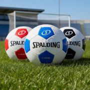 Imagen de Pelota Futbol Spalding Profesional Numero 5 Classic