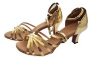 Imagen de Zapato De Baile Salsa Bachata Tango
