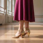 Imagen de Zapato De Baile Salsa Bachata Tango