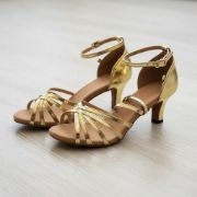 Imagen de Zapato De Baile Salsa Bachata Tango