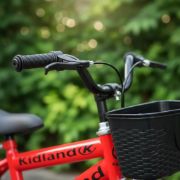 Imagen de Bicicleta De Niño Rodado 12 Con Rueditas Canasto Guardabarro
