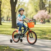 Imagen de Bicicleta Rodado Niño/a 16 Green 100% Armada