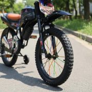 Imagen de Bicicleta Green Motobici 16'' Niños 5 Años 1 Velocidad