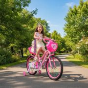 Imagen de Bicicleta Rodado 20 Princesa