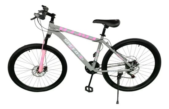 Imagen de Bicicleta Mtb Rodado 24 Freno Disco Mountain Bike