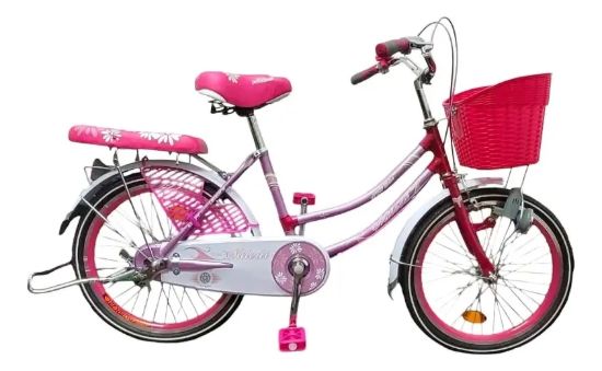 Imagen de Bicicleta Niña De Paseo R24 C/parrilla Green