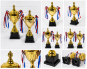 Imagen de Copa Trofeo De Campeón 33cm Altura