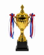 Imagen de Copa Trofeo De Campeon 29cm Altura